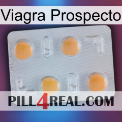 Prospecto Viagra 24